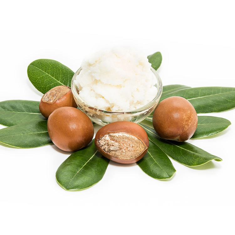 pure-shea-butter